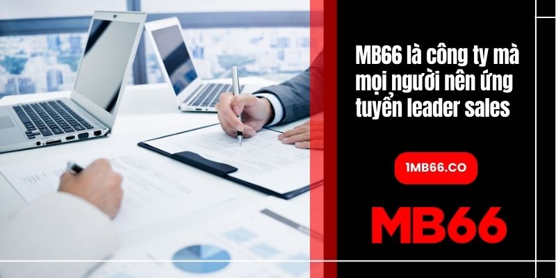 MB66 là công ty mà mọi người nên ứng tuyển leader sales